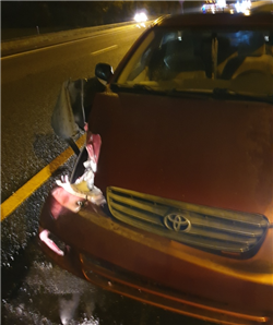 ME3a77e8d7c1afae20ae853708b5e3fca0